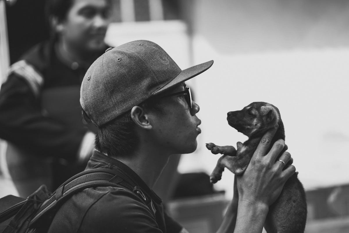 人与狗的情感连接